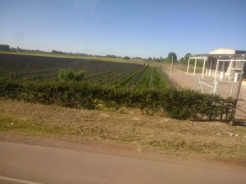 Imagen de Mendoza Jujuy