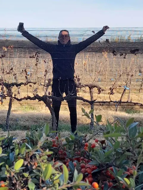 Imagen de Mendoza Jujuy Salta