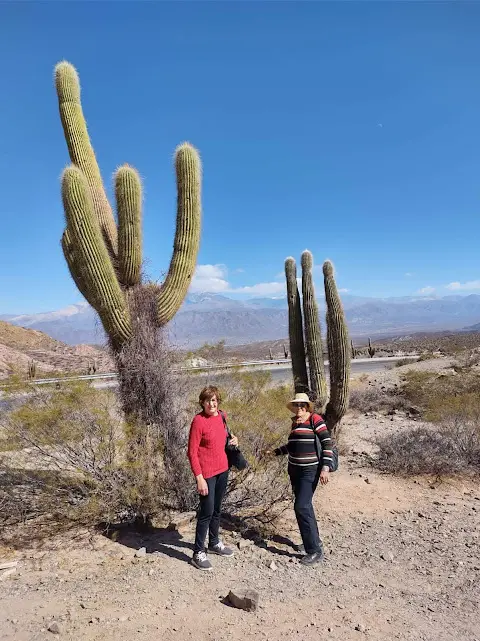 Imagen de Mendoza Jujuy Salta