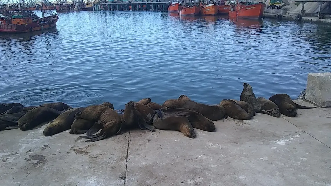 Imagen de Puerto Madin